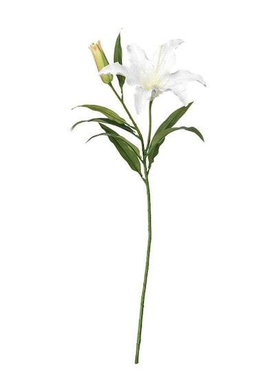 Ikea Smycka Yapay Zambak Dalı 85 Cm Beyaz Yeşil Beyaz - yeşil