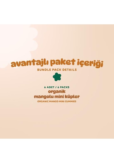 Organik Glutensiz Vegan Mangolu Mini Küpler Atıştırmalık Paketi - 6 Adet 180 G