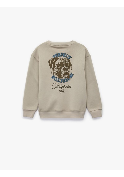Koton Şardonlu Uzun Kollu Bisiklet Yaka Köpek Baskılı Sweatshirt Gri 6wkb10592tk Gri