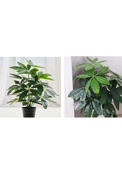 Yapay Çiçek Demet Şeflera Bitkisi 18dal 75cm Salon Çiçeği Yapay Bitki Pachira Macrocarpa