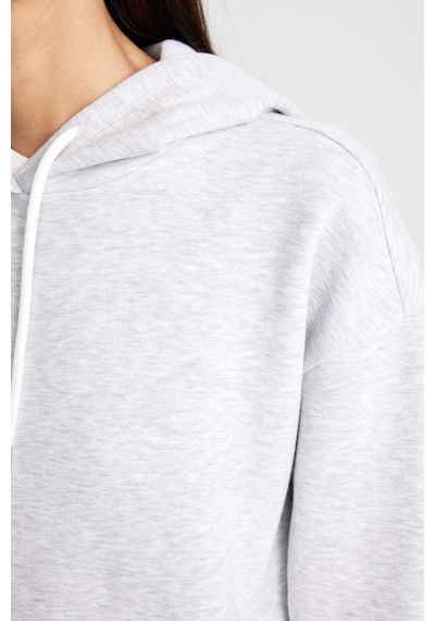 DeFacto Relax Fit Kapüşonlu Kanguru Cepli Kalın Basic Düz Sweatshirt W1240AZ24WNGR93 Gri DeFacto Relax Fit Kapüşonlu Kanguru Cepli Kalın Basic Düz Sweatshirt W1240AZ24WNGR93 Gri