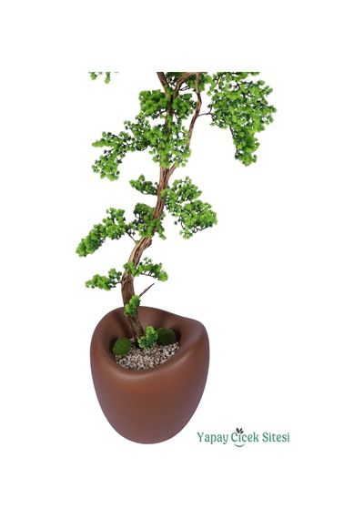 Yapay Çiçek Sitesi Fiber Saksıda Doğal Gövdeli Bonsai Yapay Ağaç 170 Cm Yeşil