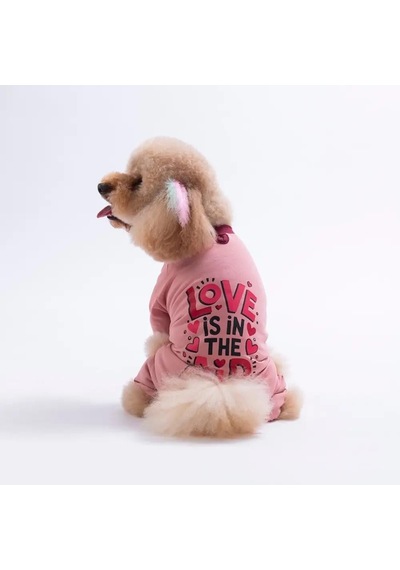 Pawstar 26902 Pembe Love Air Küçük Irk Köpek Pijama Tulum