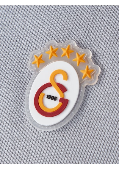 Gsstore Galatasaray Erkek Polo T-shirt E252103 Gri