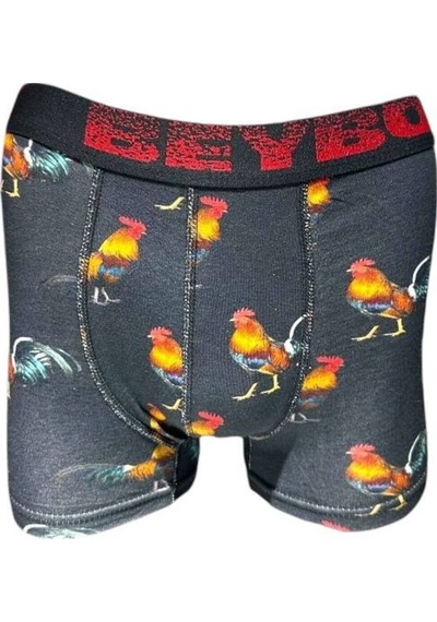Baskılı Erkek Boxer DESENLİ