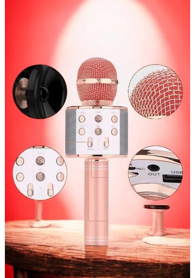 Şarjlı Ve Uzun Pil Ömürlü Karaoke Mikrofon Usb Bellek Destekli Profesyonel Ses Mh-hs1729-6864