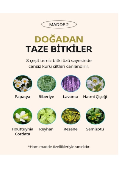 Atomy Body Care Body Lotion Vücut Losyonu