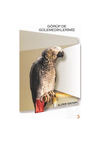 Görüp de Gülemediklerimiz - Alper Saygın - Cinius