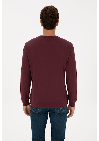 U.S. Polo Assn. Erkek Regular Fit Bisiklet Yaka Bordo Sweatshirt 50316390-VR177