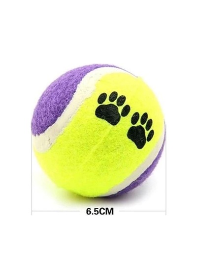 Tenis Topu Köpek Eğitim Oyuncağı - Dayanıklı Ve Eğlenceli Köpek Oyun Topu Tenis, Adet, 3