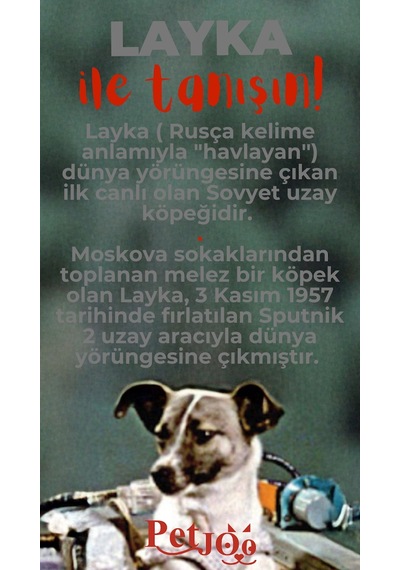 Petjoo 22.Layka Kırmızı-Gri Qr'lı Köpek Künyesi