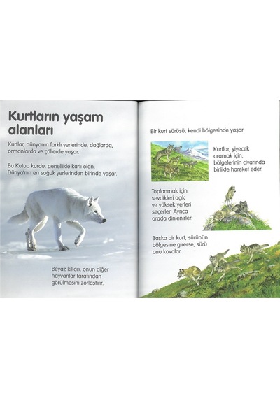 Tübitak Popüler Bilim Ilk Okuma Kitapları 45 Kitap Set (7+ Yaş)
