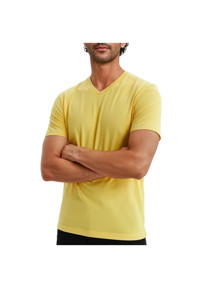 Arma Ar-ma Erkek V Yaka Tişört Baskisiz Basic Örme Kumaş Regular Fit %100 Pamuk 30/1 Penye Süprem Y31364408102 Sarı-s1 Arma Ar-ma Erkek V Yaka Tişört Baskisiz Basic Örme Kumaş Regular Fit %100 Pamuk 30/1 Penye Süprem Y31364408102 Sarı-s1