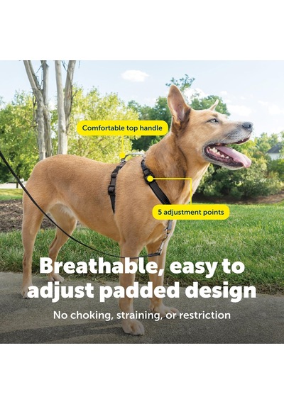 Petsafe The Makers Of The Easy Walk Harness, 3'ü 1 Arada Koşum Kayışı, Tamamen Ayarlanabilir, Çekmez Köpek Koşumu, Orta Boy Siyah Petsafe The Makers Of The Easy Walk Harness, 3'ü 1 Arada Koşum Kayışı, Tamamen Ayarlanabilir, Çekmez Köpek Koşumu, Orta Boy Siyah