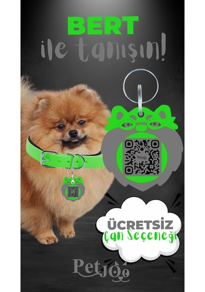 Petjoo 13.Bert Gri-Yeşil Qr'lı Köpek Künyesi