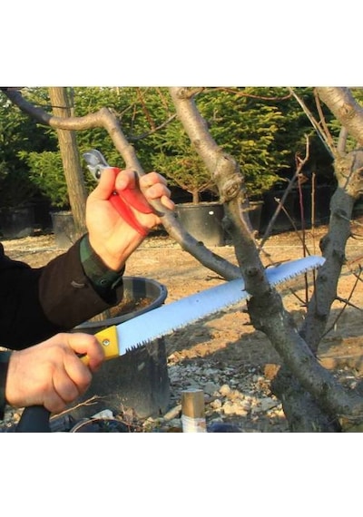Bahçe Alet Seti Lazer Bağ Budama Makası Testere Ağaç Dal Kesme Üz