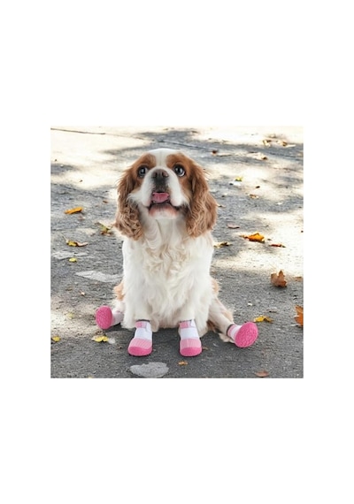 Akınalbella Kaydırmaz Kauçuk Tabanlı Lastikli Köpek Ayakkabısı, Pembe Antrasit