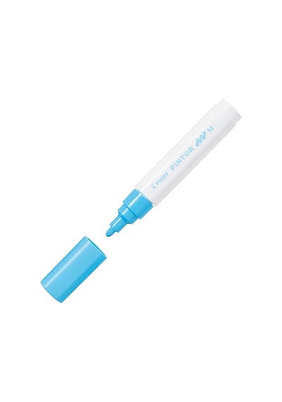Pilot Pintor M Pastel Mavi Sw-pt-m-pl Çok Renkli