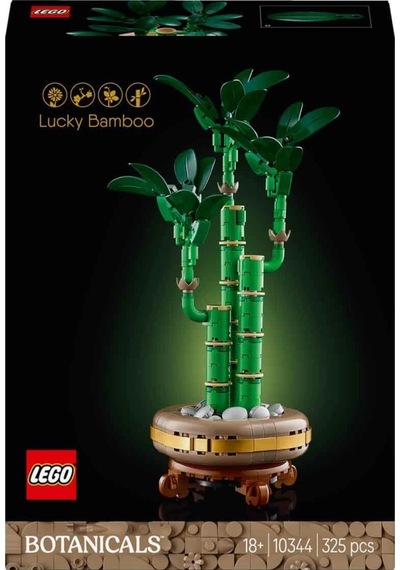 Botanicals Şans Bambusu 10344 Standart