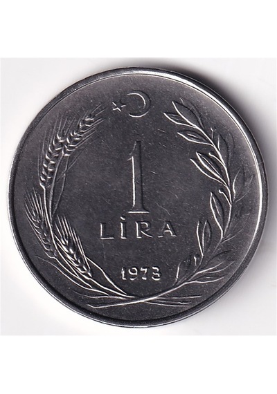 1 Lira 1973 Çil Eski Madeni Para
