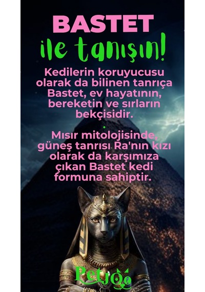 Petjoo 1.Bastet Yeşil-Pembe Qr'lı Kedi Künyesi