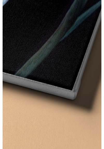 Webstyle Sayılarla Boyama Seti Kasnaklı Nilüfer 2 50 X 65 Cm