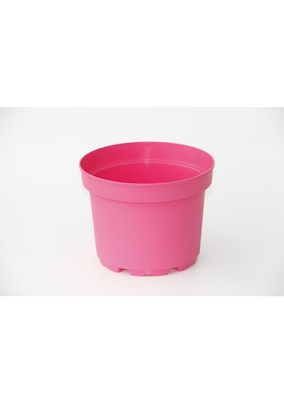 Pembe Saksı 20 Adet
