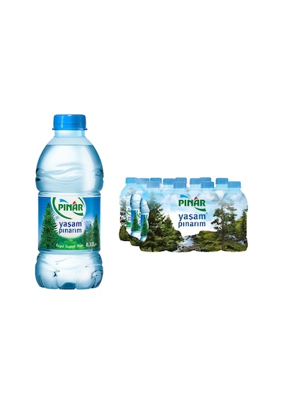 Pınar Su 120 x 330 ML