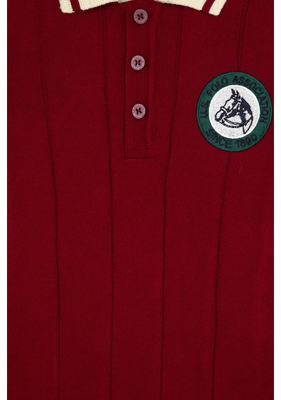 U.S. Polo Assn. Erkek Çocuk Plum Kazak /triko 50315629-vr177 New Plum