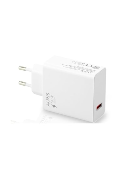 Auris ARS-CH37 120 W Saliseli Şarj Başlık