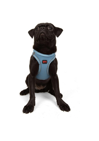 Tailpetz Air-mesh Göğüs Tasması 3xs Mavi, M Sku: Zeusb07q2fz69c Açık Bej - Bej