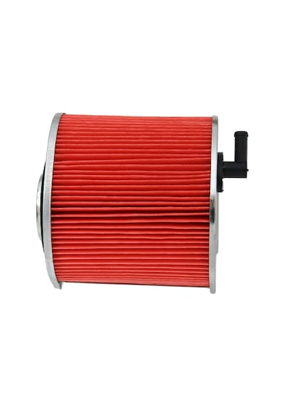 Mondial 250Mct Regal Raptor Hava Filtre Elemanı (492645713)