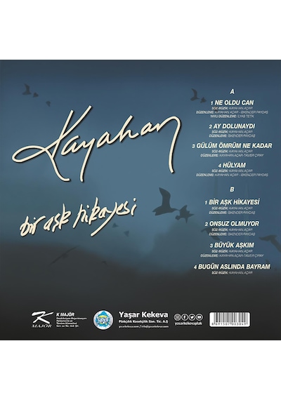 Kayahan - Bir Aşk Hikayesi Plak