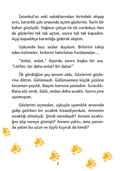 Şehrin Yaban Hayatı Serisi 1 Masalımı Gören Oldu Mu Resimli Çocuk Hikâyesi / 7 Yaş +