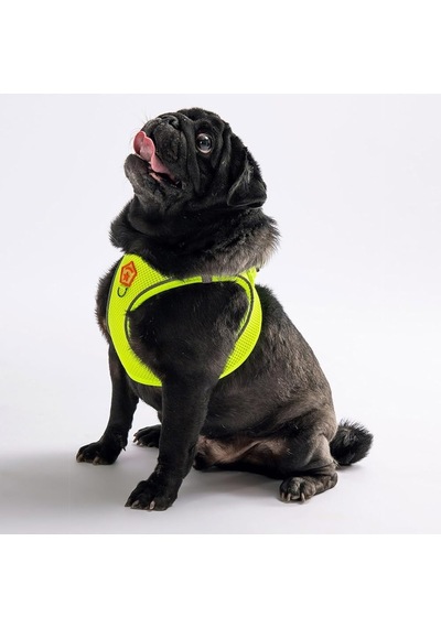 Pawstar Sarı -mesh Göğüs Tasması Göğüs Tasması Sarı Xl Sku: Smg8690010328199