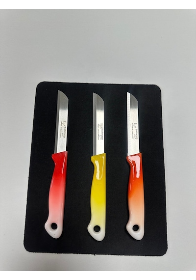Solingen Slg-21 3.lü Eco Ebruli Meyve Bıçağı