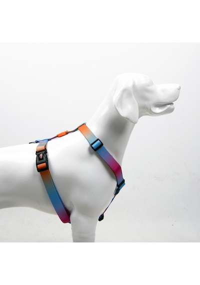 Pass H-tipi Göğüs Tasması Ayarlanabilir, Konforlu Ve Dayanıklı Desenli Köpek Tasması Pass