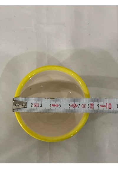 6 Adet Kahvaltılık Sosluk Reçellik Çerezlik El Boyaması Sarı Renk