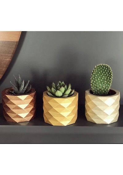 Beton Saksı Saksılık Kaktüs Ve Sukulentlik 3'lü Set Takım
