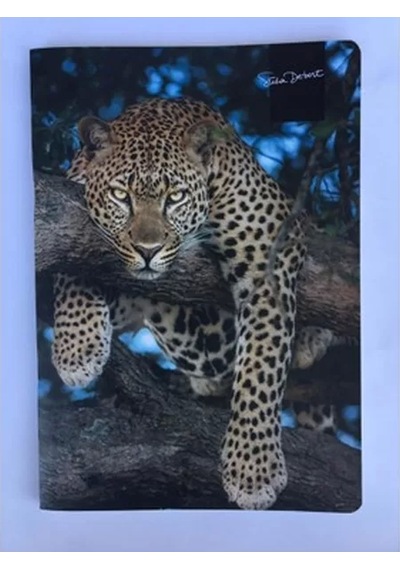Keskin Uni-note Karton Kapak Defter 18x26 Kareli 58 Yaprak 381712