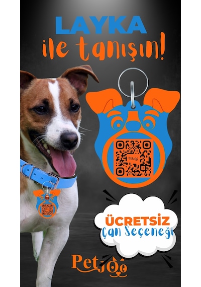 Petjoo 22.Layka Turuncu-Mavi Qr'lı Köpek Künyesi