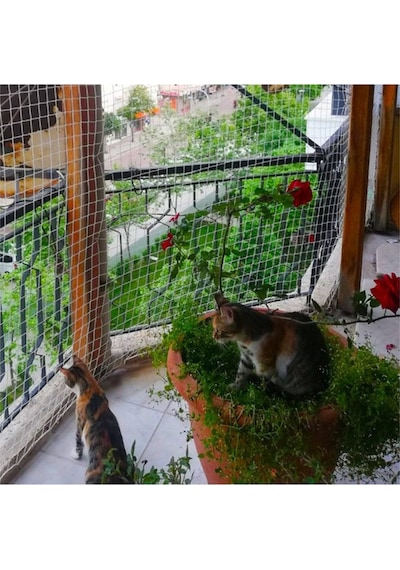 Nzl File Ambalaj Kuş Filesi - Kedi Filesi - Balkon Filesi - Kedi Ağı - 2 Cm Gözenekli - 1.5 Mm
