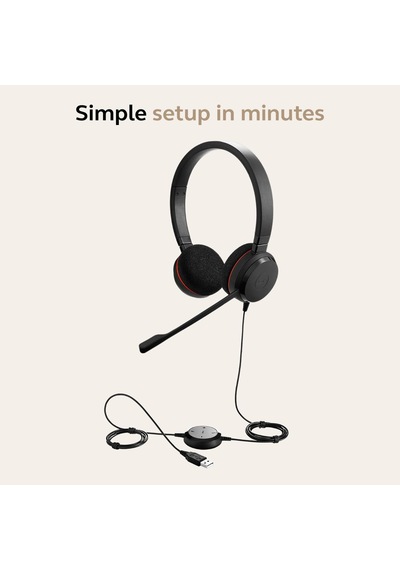 Lexroo Evolve 20 Stereo Kulaklık - Usb C Kontrollü - Siyah