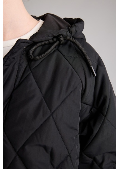 Defacto Regular Fit Kapüşonlu Kapitone Parka H4137ax26aubk81 Siyah-bk81