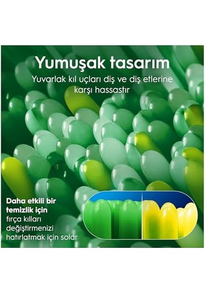 0-6 Yaş Diş Fırçası, Ekstra Yumuşak Fırça Kılları Açık Ahşap