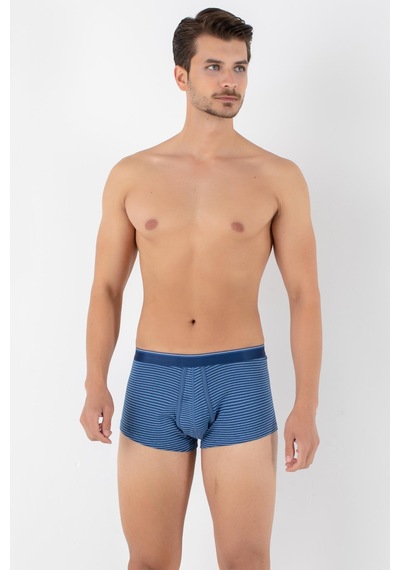 Doremi Dennis Cotton Erkek Boxer Mavi