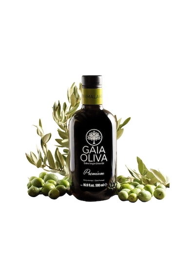 Gaıa Olıva Premium Yamalak Sarısı 500 Ml Erkan Hasat Natürel Sızma Zeytinyağı