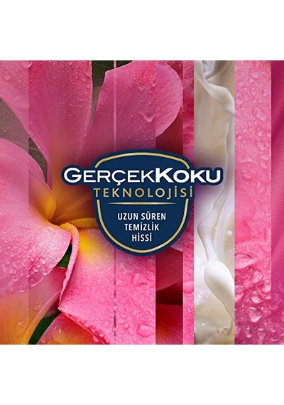 Hava Tazeleyici Aerosol, Oda Kokusu, Tropikal Floral, 300ml