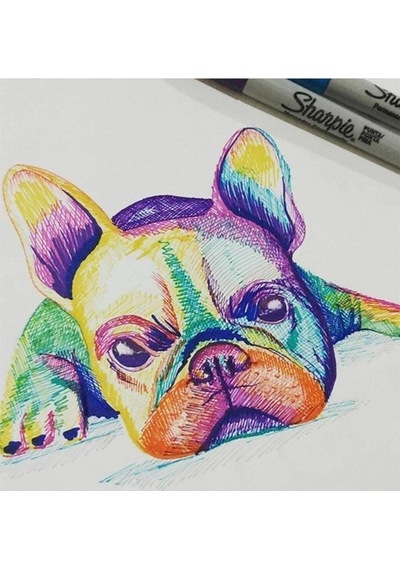 Sharpie Markör Permanent Fine 26 Lı Kutu Kurt 2158030