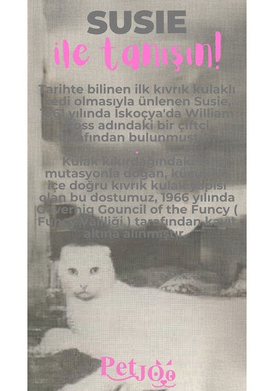 Petjoo 3.Susie Pembe-Gri Qr'lı Kedi Künyesi